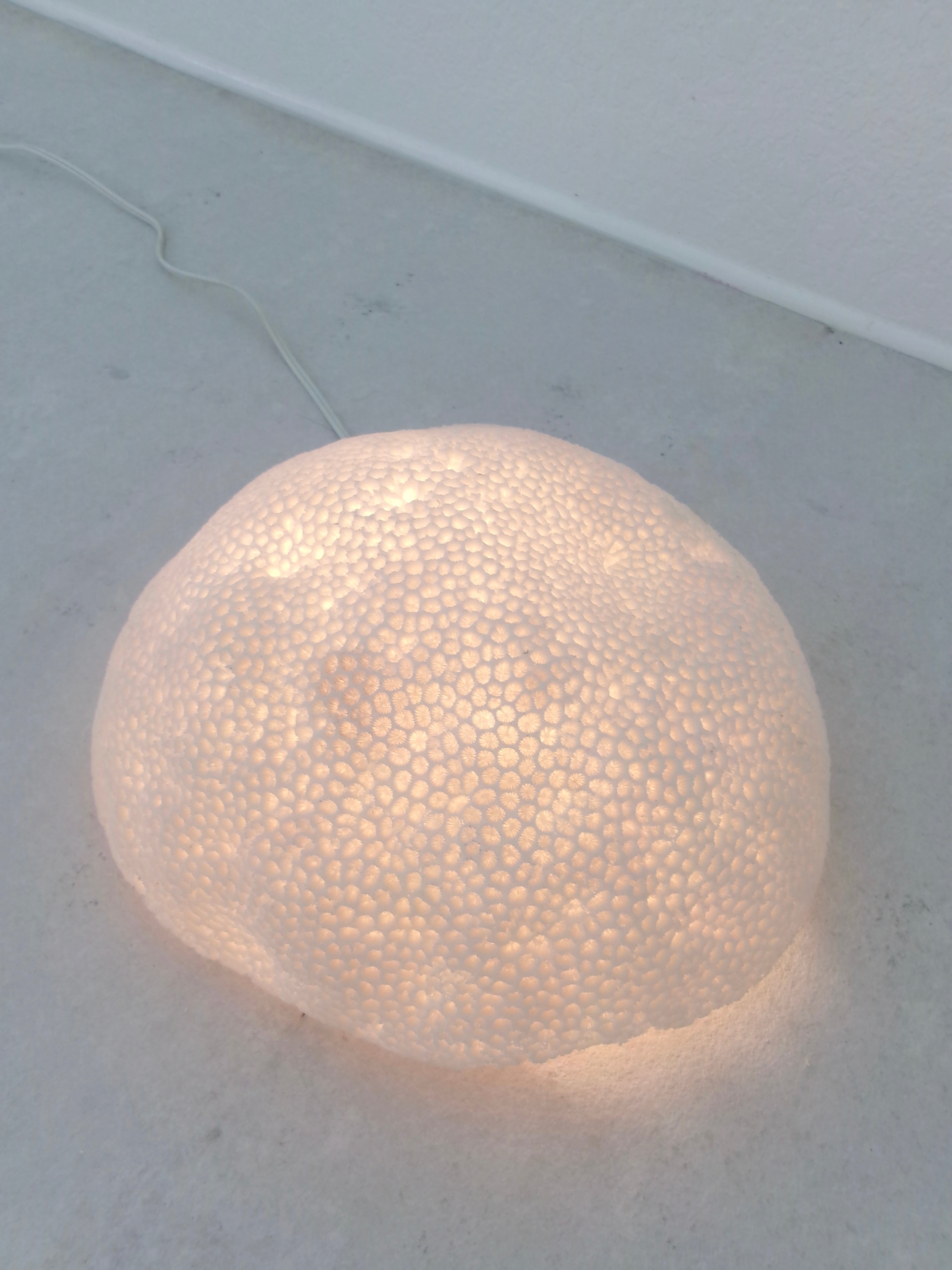Organic Coral Shaped Ivory Resin Table Lamp