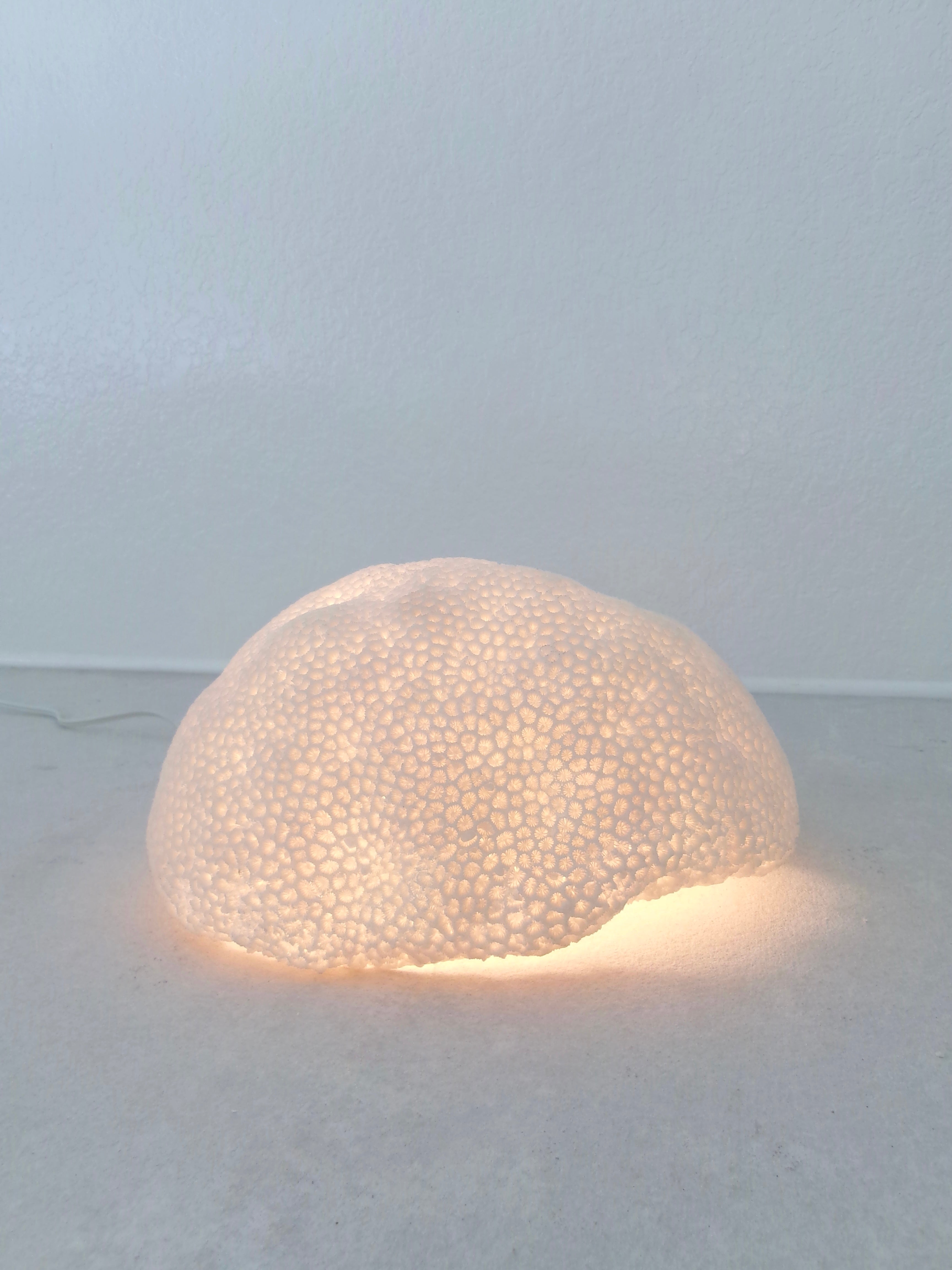 Organic Coral Shaped Ivory Resin Table Lamp