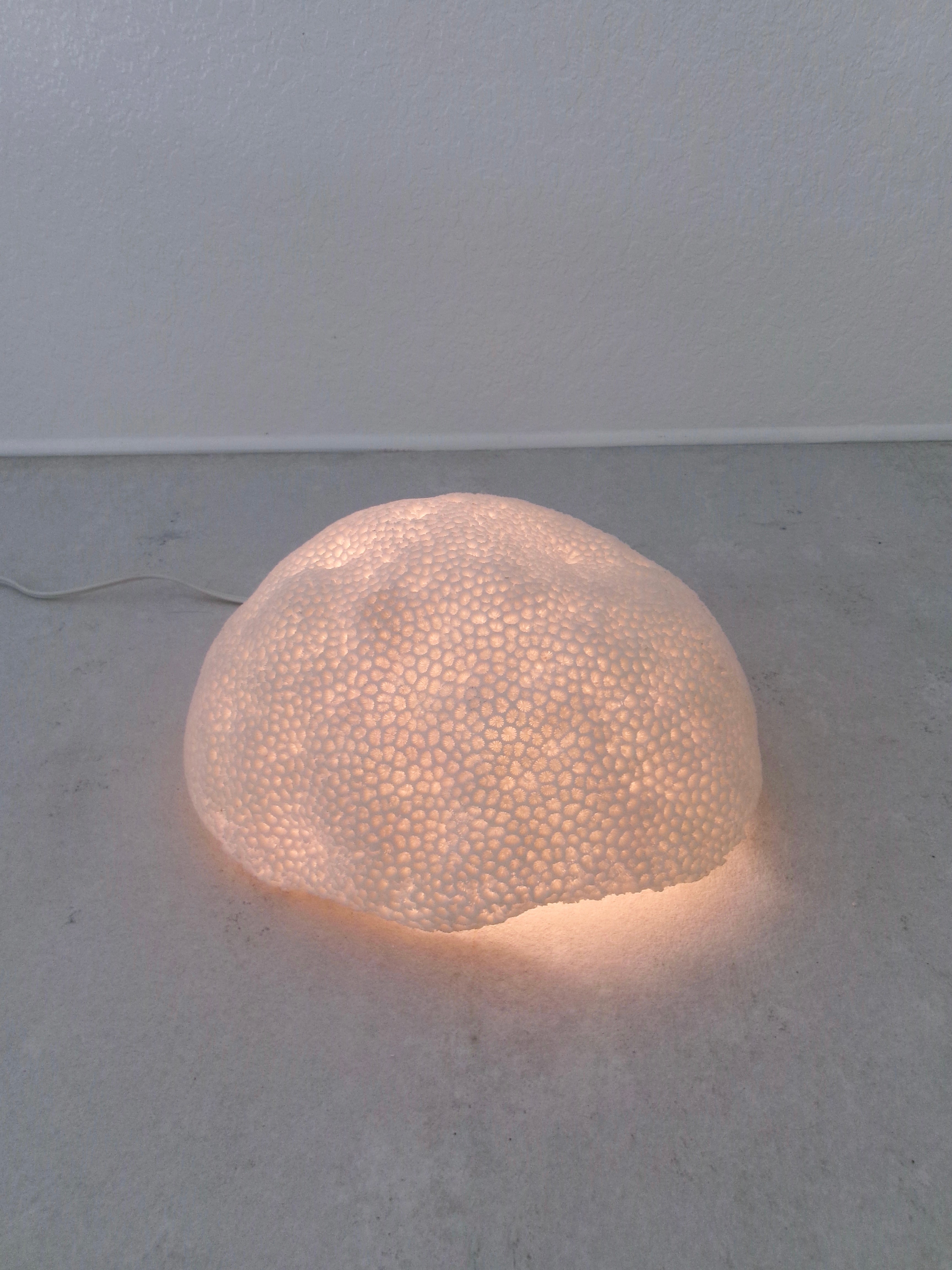Organic Coral Shaped Ivory Resin Table Lamp
