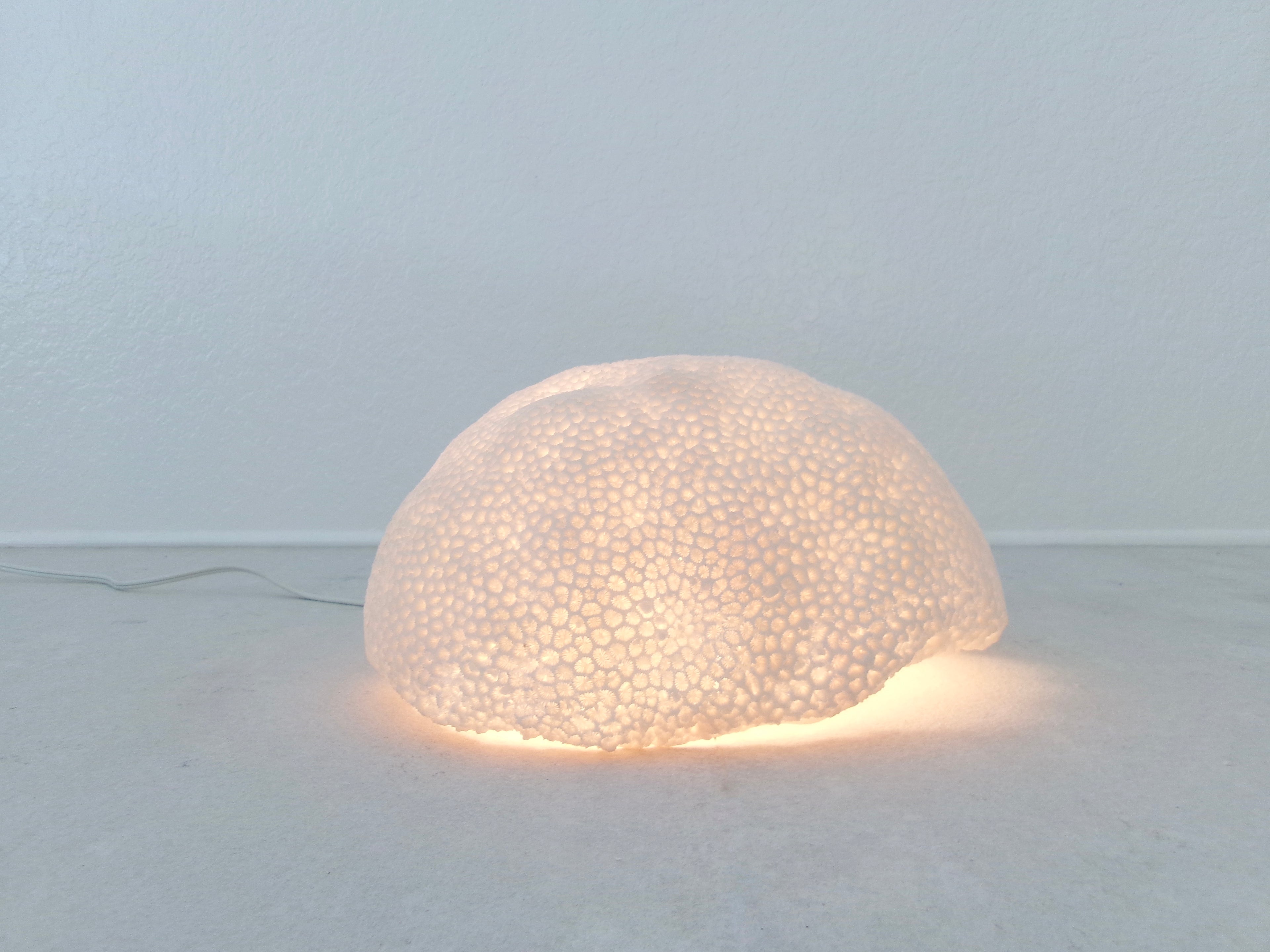 Organic Coral Shaped Ivory Resin Table Lamp
