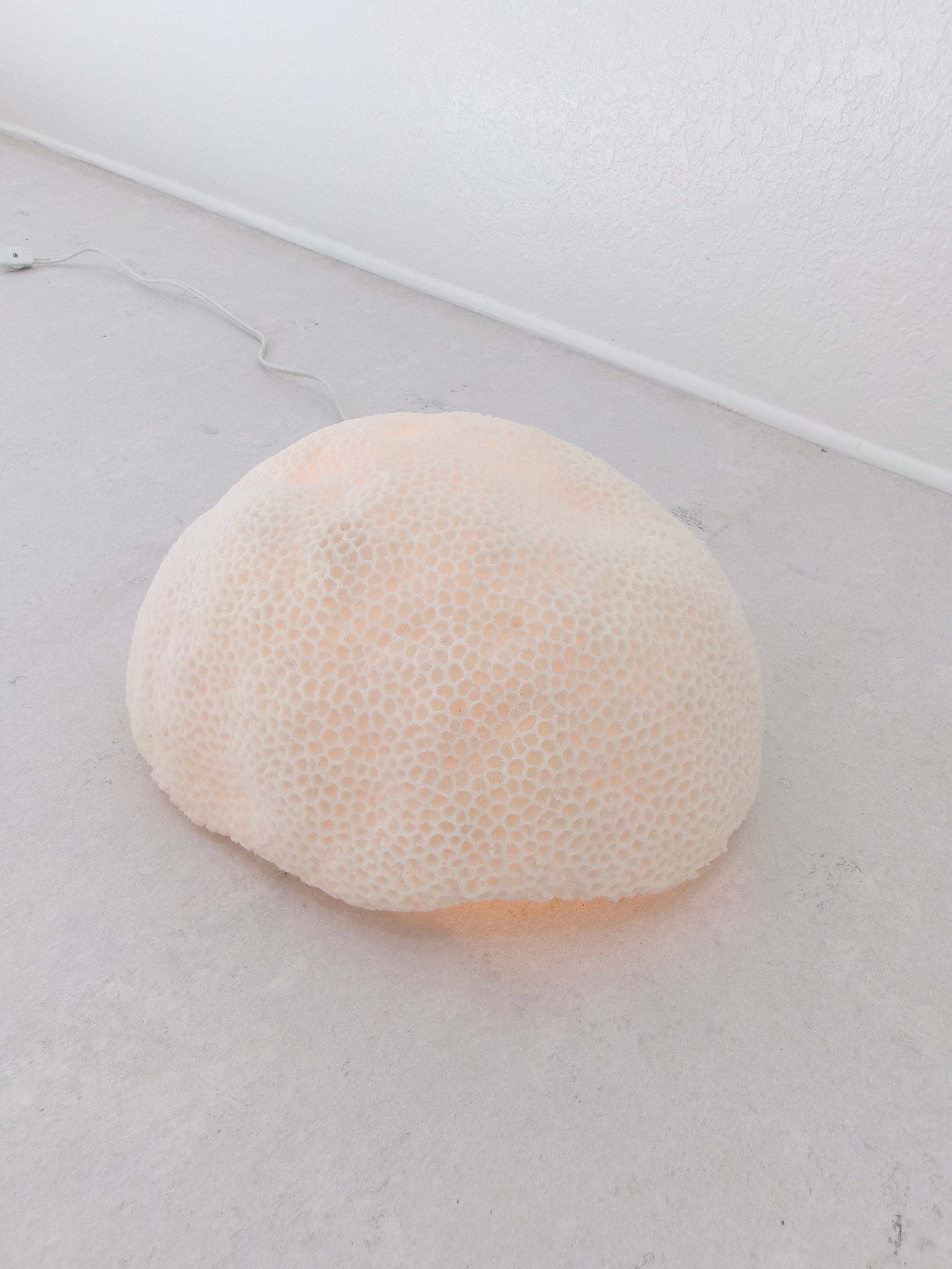 Organic Coral Shaped Ivory Resin Table Lamp