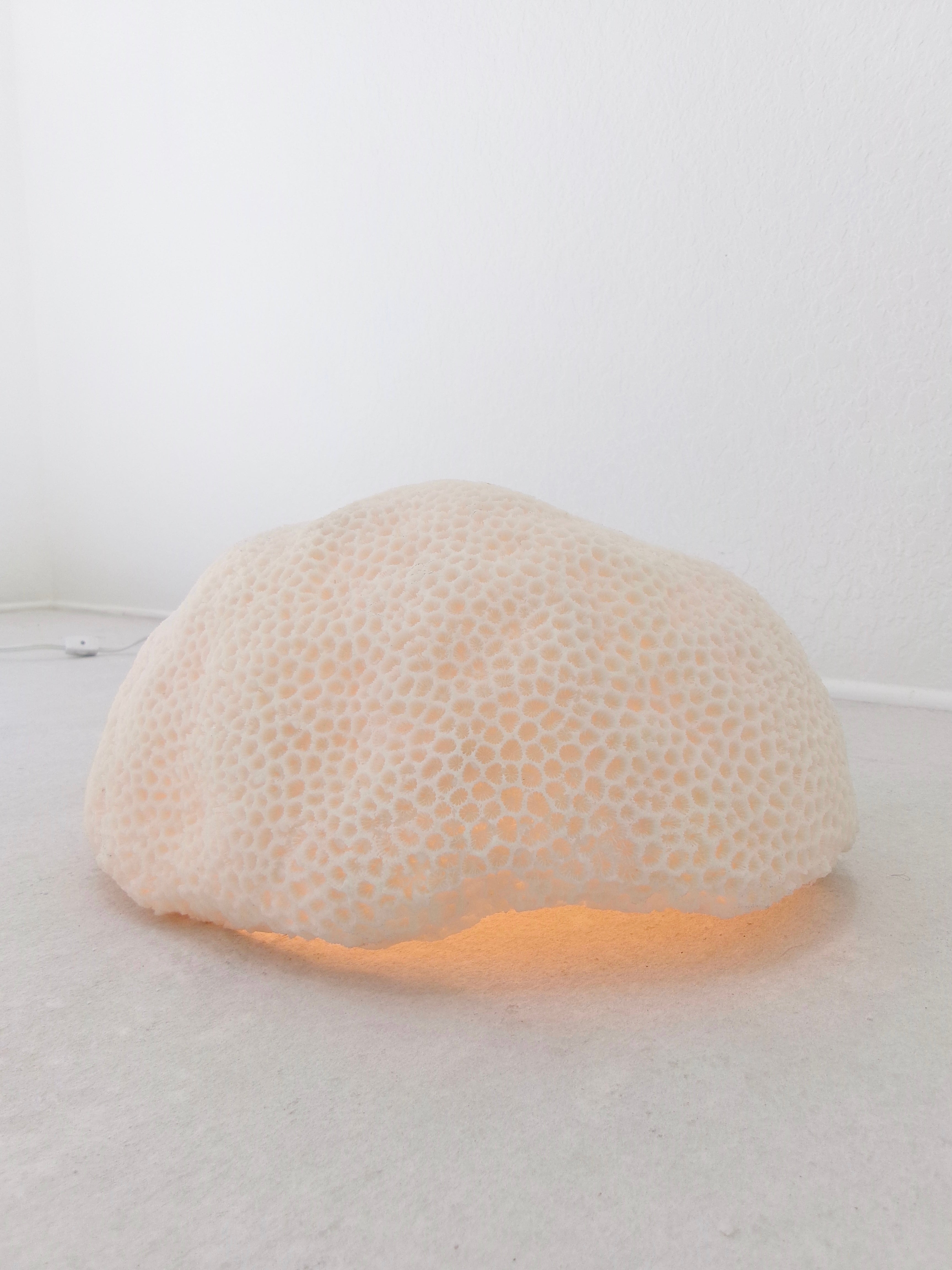 Organic Coral Shaped Ivory Resin Table Lamp